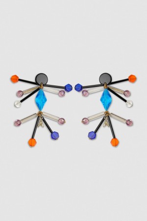 Patrizia Pepe Earrings With Techno Pop Fly Appliqué Mehrfarbig | MQOZLF-981