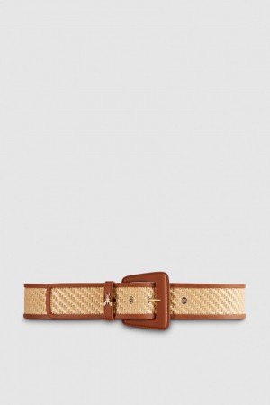 Patrizia Pepe High Waist Fabric Belt Braun | CMFPEJ-513