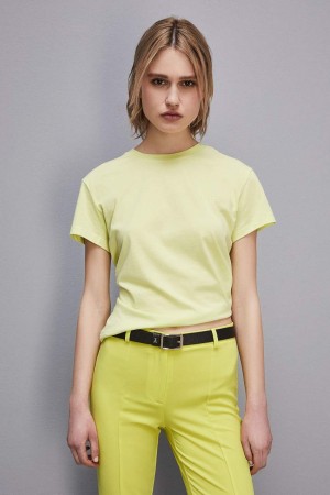 Patrizia Pepe Short-sleeved T-shirt With Logo In Organic Cotton Gelb | BYLKWA-986